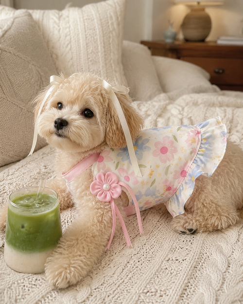 Floral Bloom Dog Strap Dress