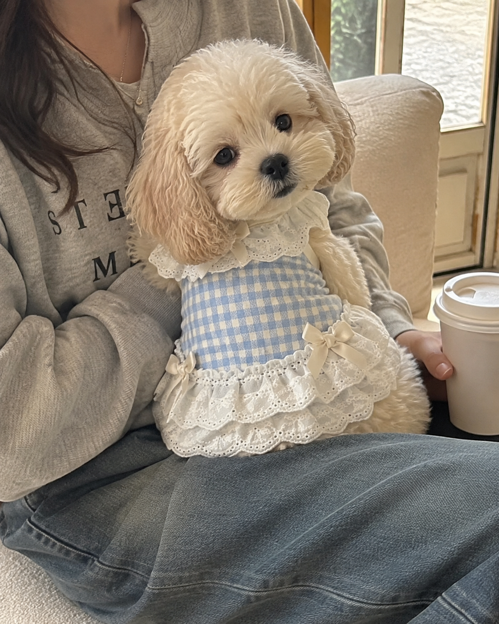 Gingham Sweetheart Lace Pet Vest