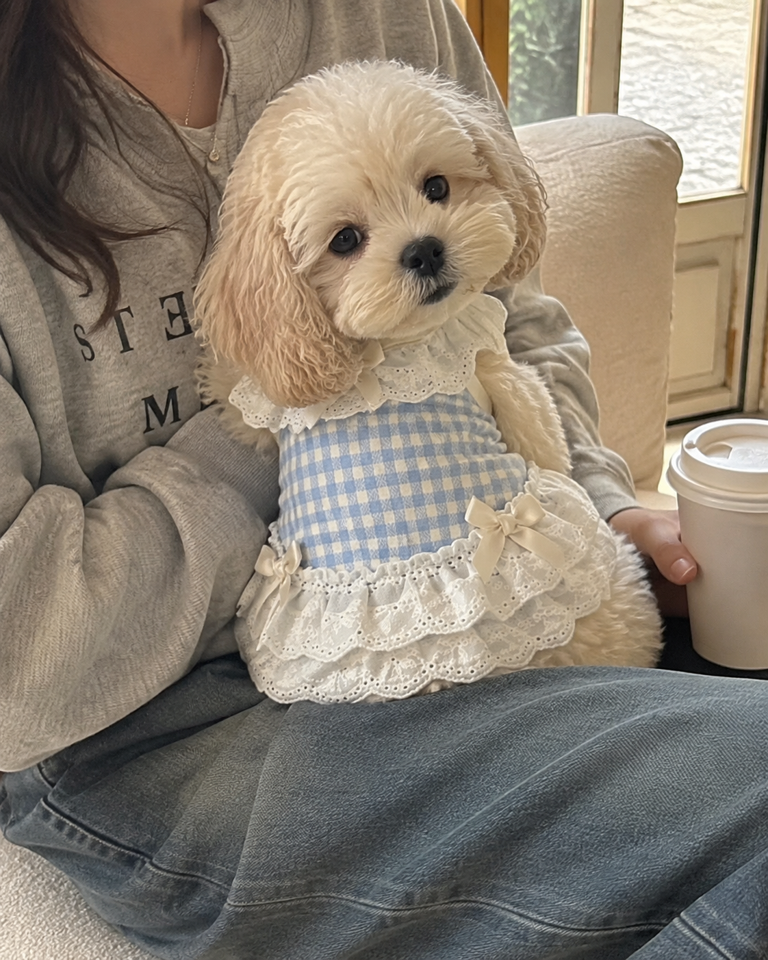 Gingham Sweetheart Lace Pet Vest