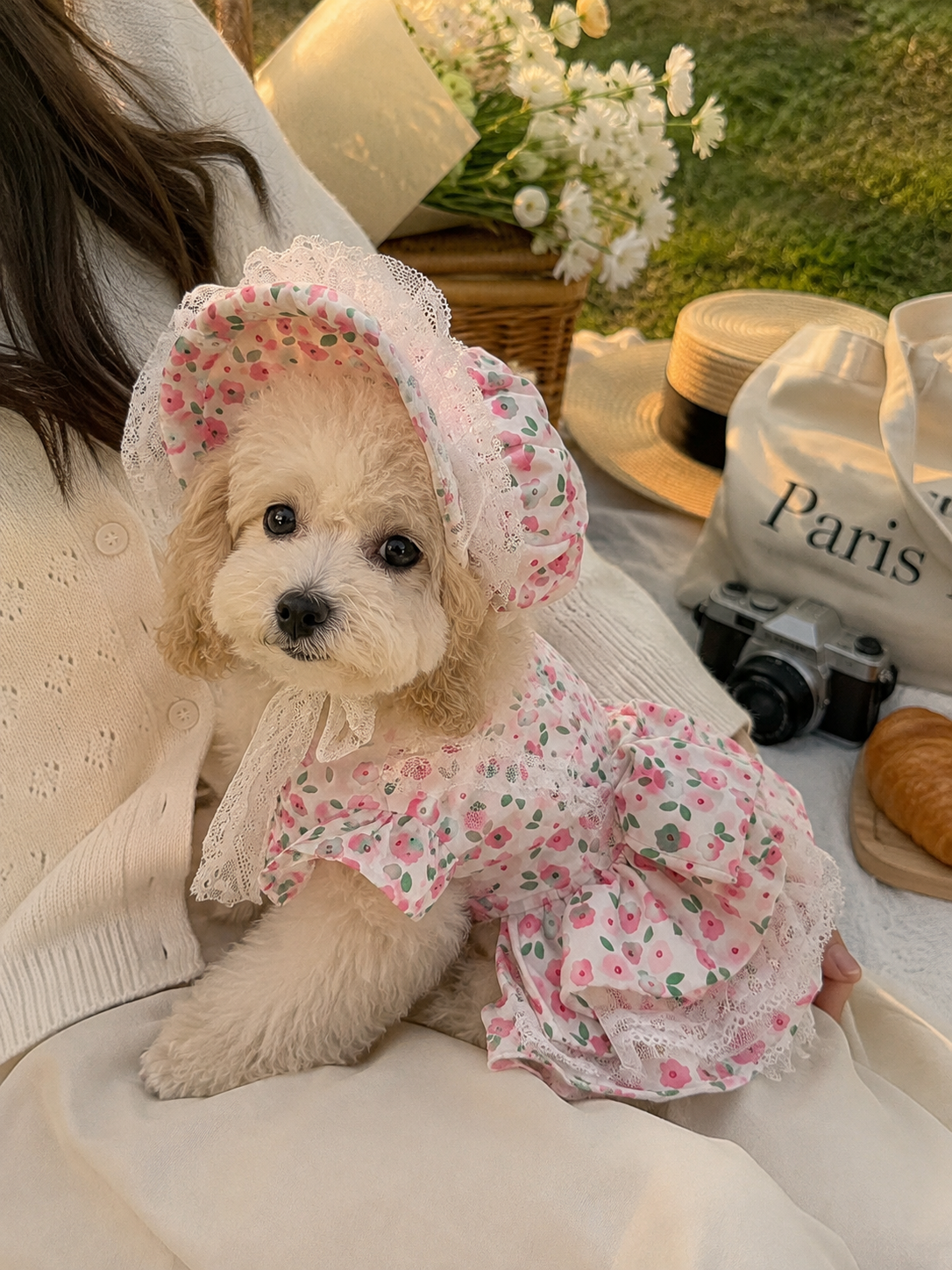 Romantic Rose Bonnet & Dress Outfit for Pets