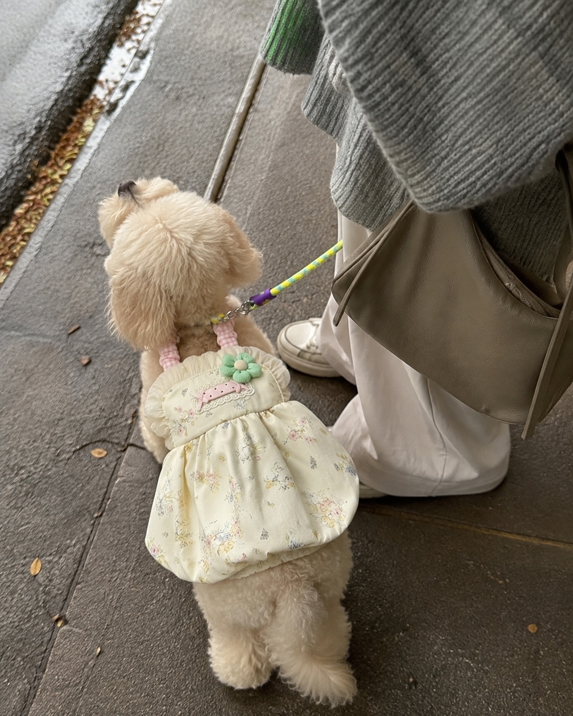 Cottagecore Floral Puff Pet Dress