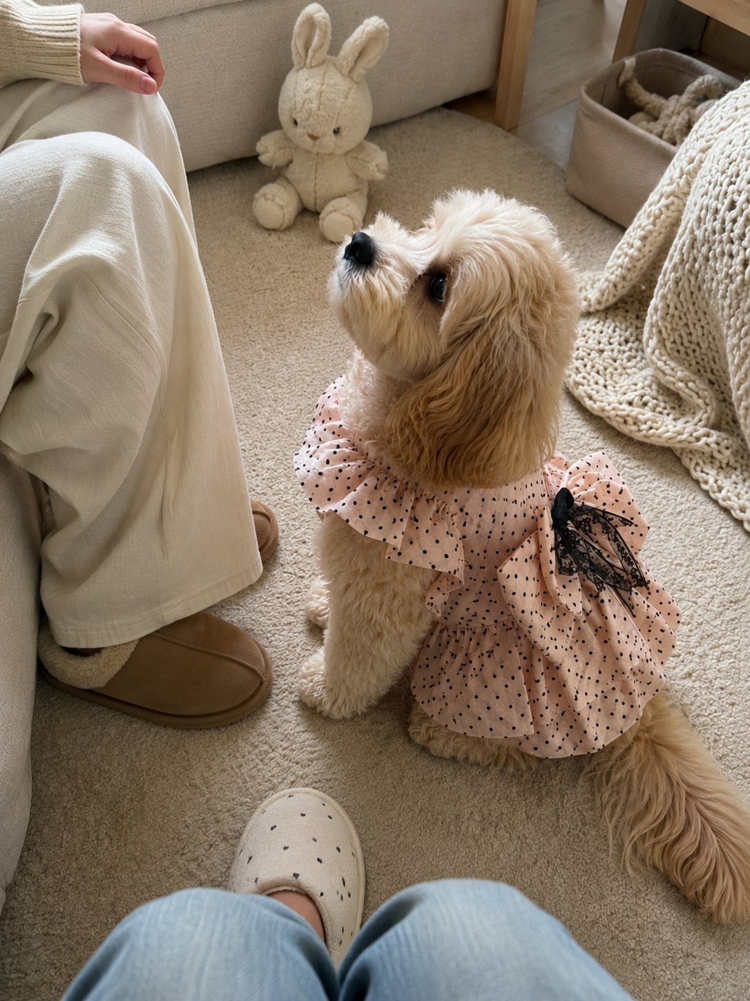 Polka Dot Princess Bow Strap Dress