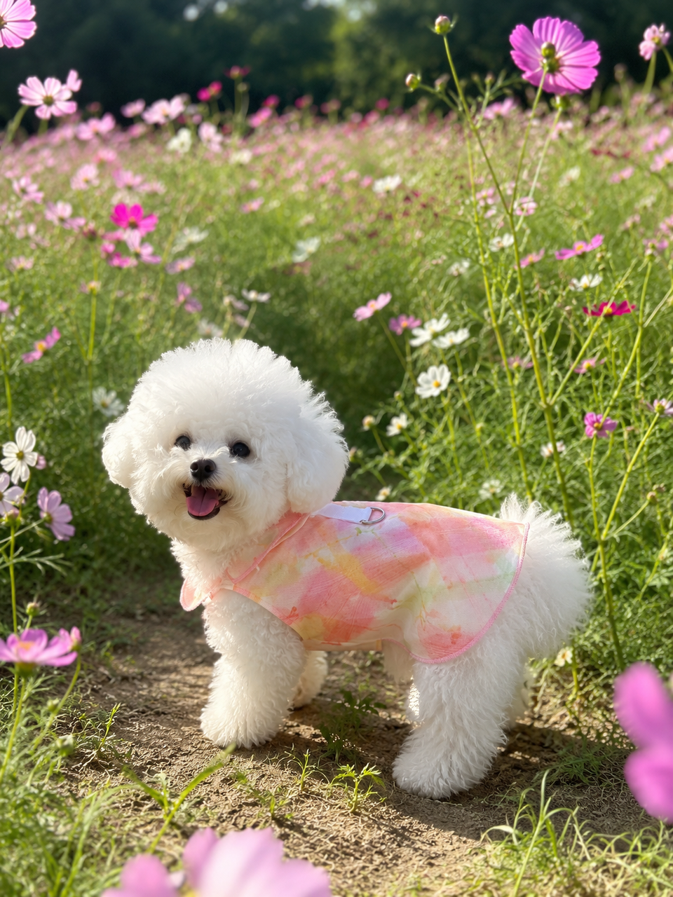 Sweet Cherry Mesh Pet Vest
