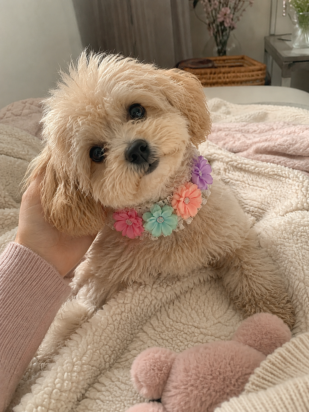 Pastel Flower Pet Collar | Kawaii Adjustable Cat & Dog Floral Bib