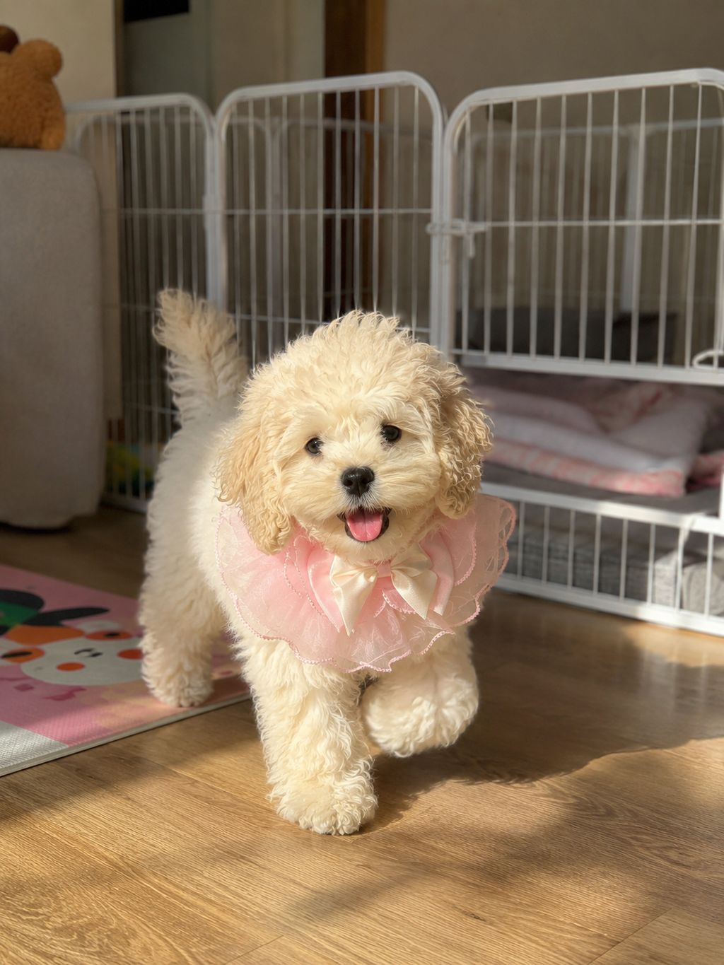 Dreamy Fairytale Bow Pet Bib Collar