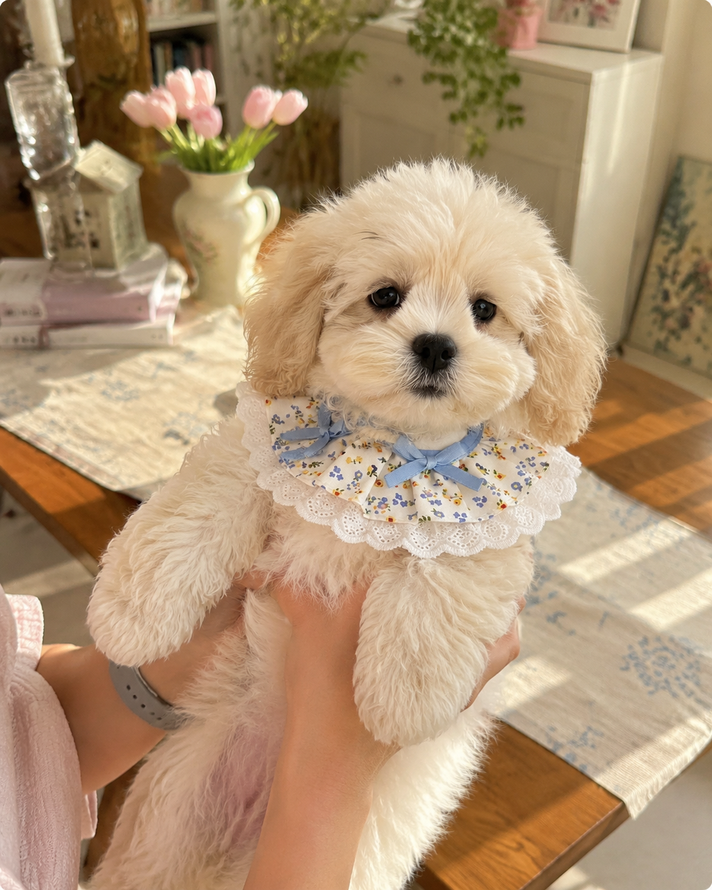 Cute Floral Lace Pet Bib Collar