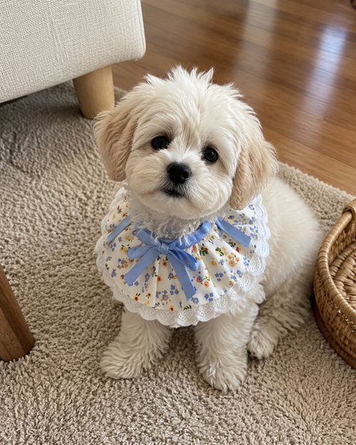 Cute Floral Lace Pet Bib Collar