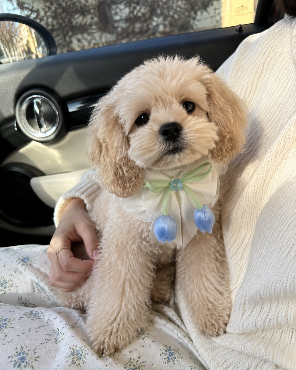 Fairy Blue Lily of the Valley Pet Collar