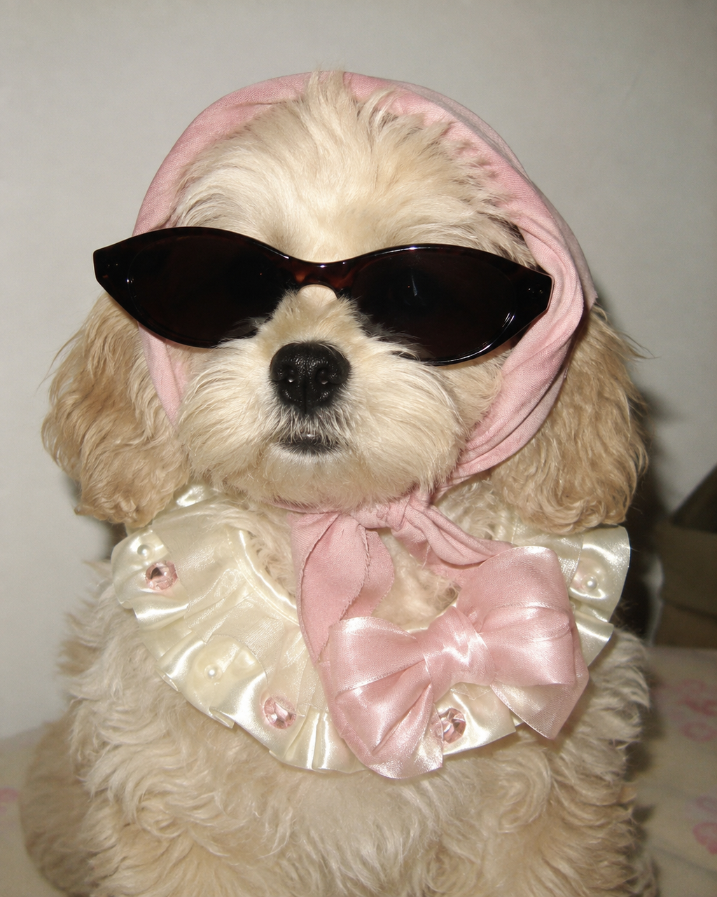 Princess Pearl Ribbon Pet Bib Collar