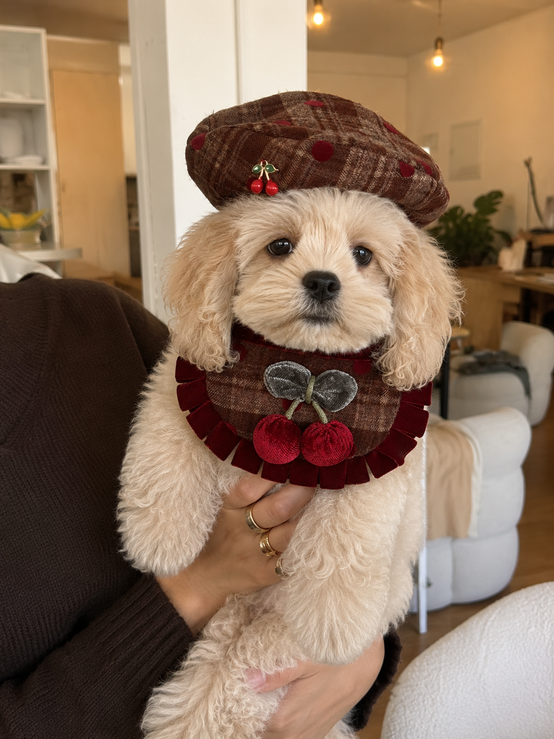 Cherry Sweetness Pet Beret & Bib Gift Set 🍒✨