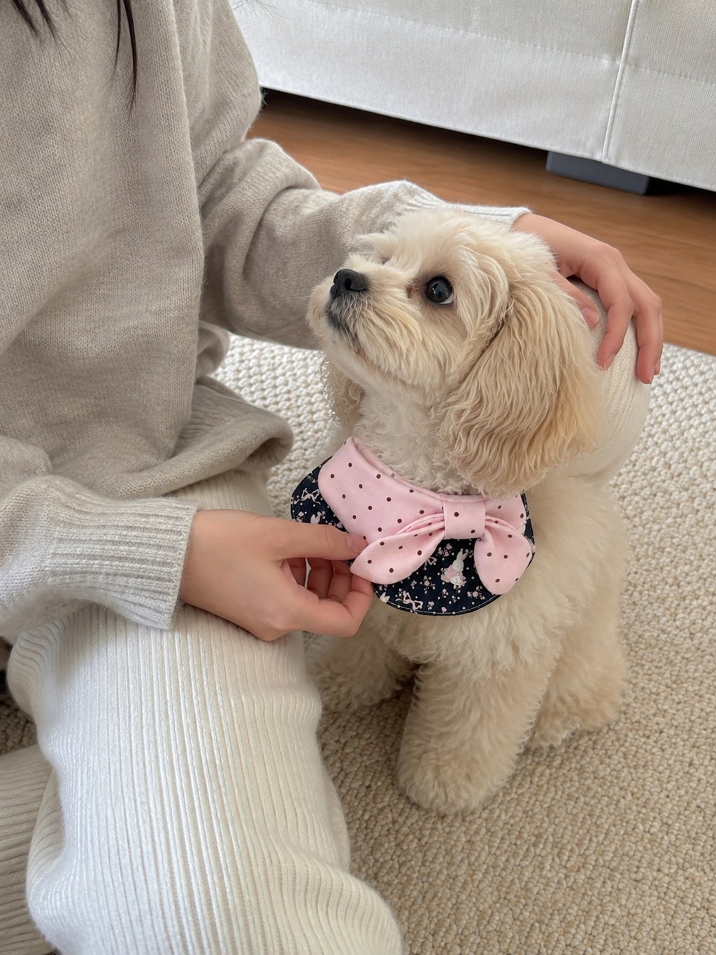 Rosy Bow French Pet Bib 🎀