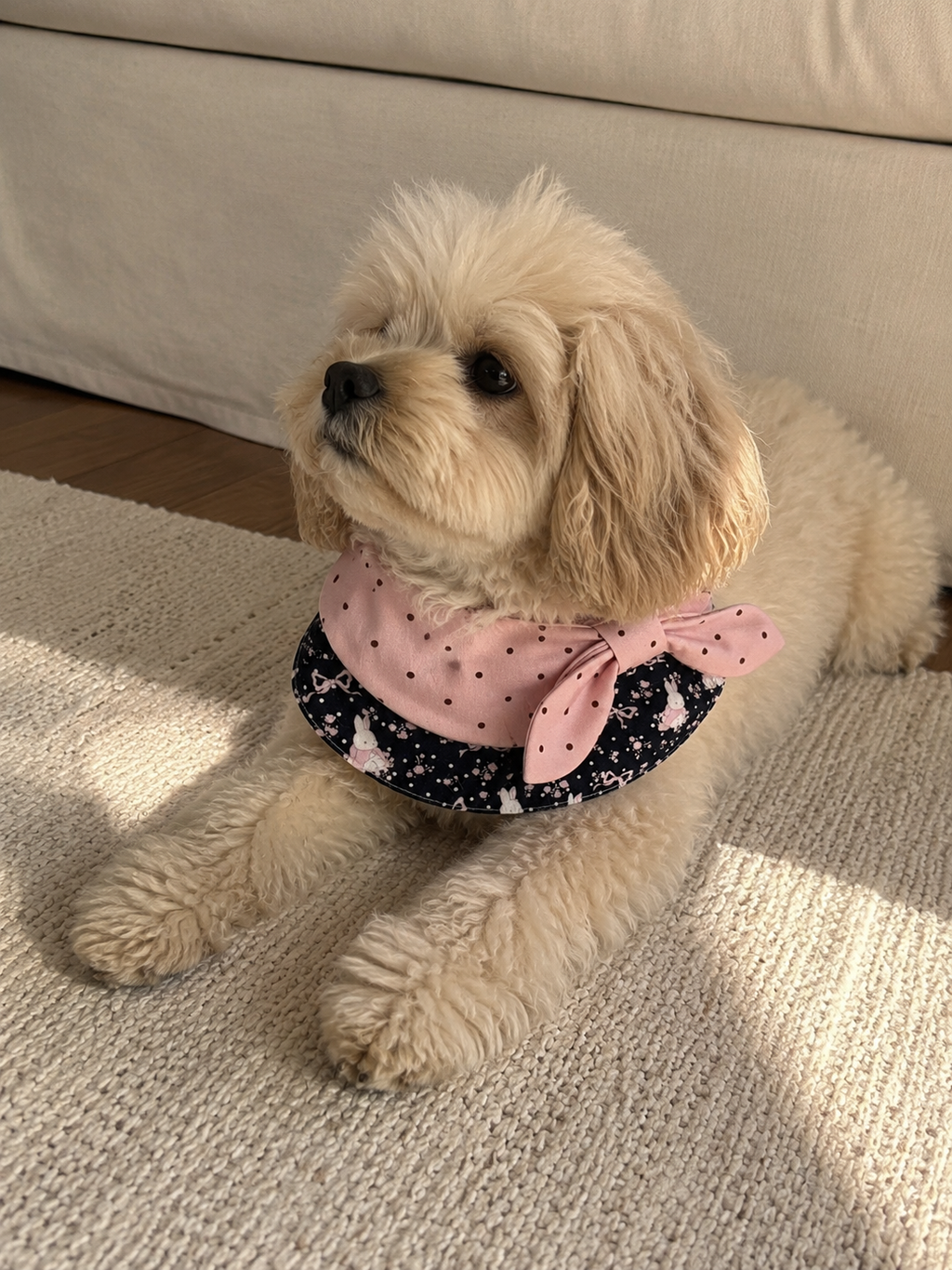 Rosy Bow French Pet Bib 🎀