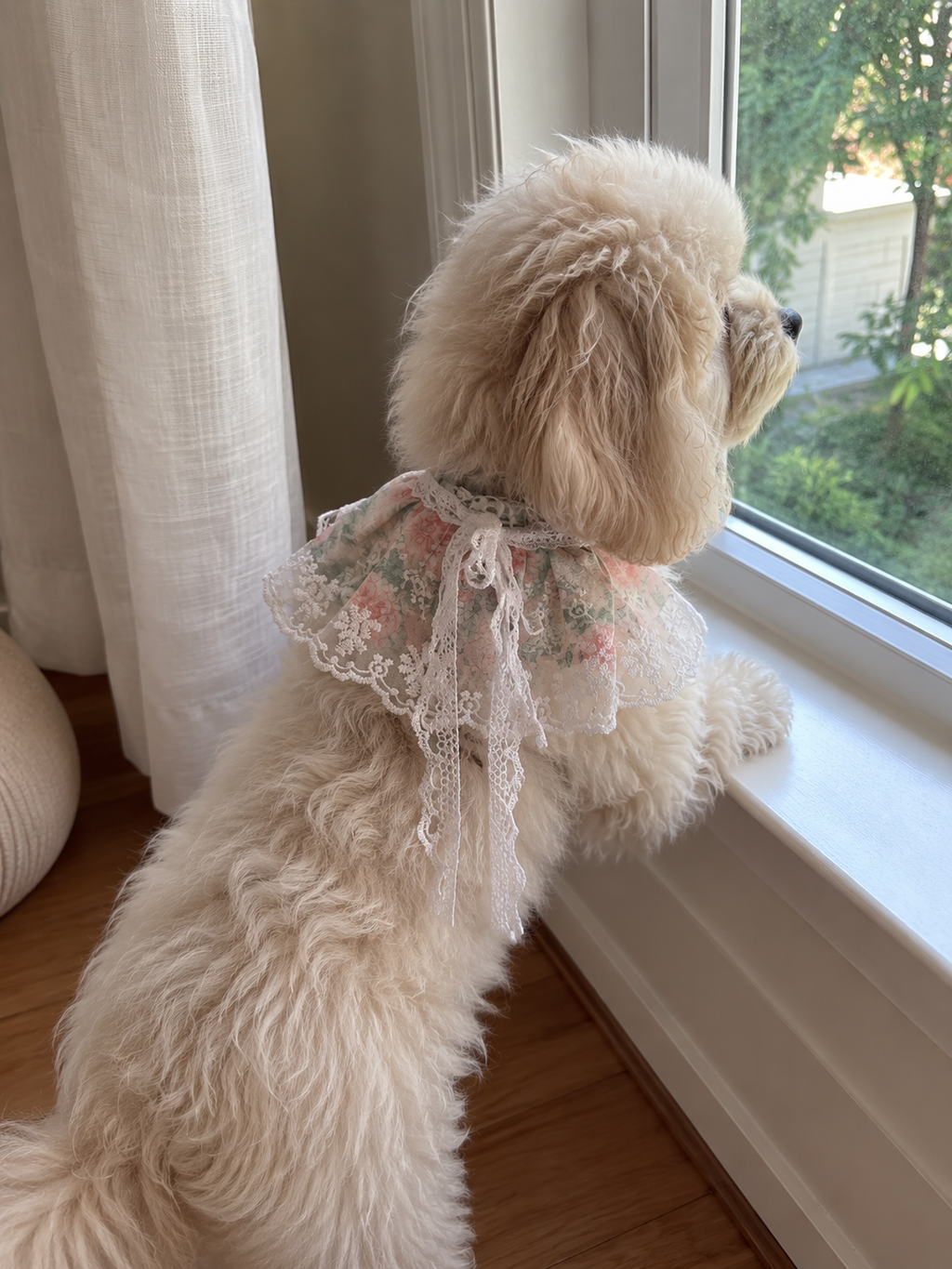 Rosy Meadow Lace Pet Bib 🌹🎀
