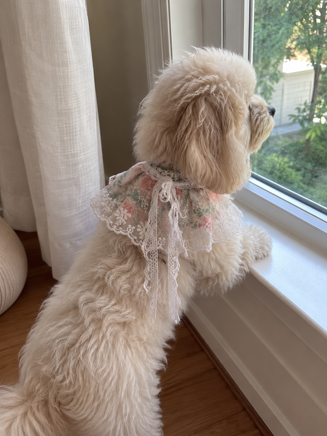Rosy Meadow Lace Pet Bib 🌹🎀