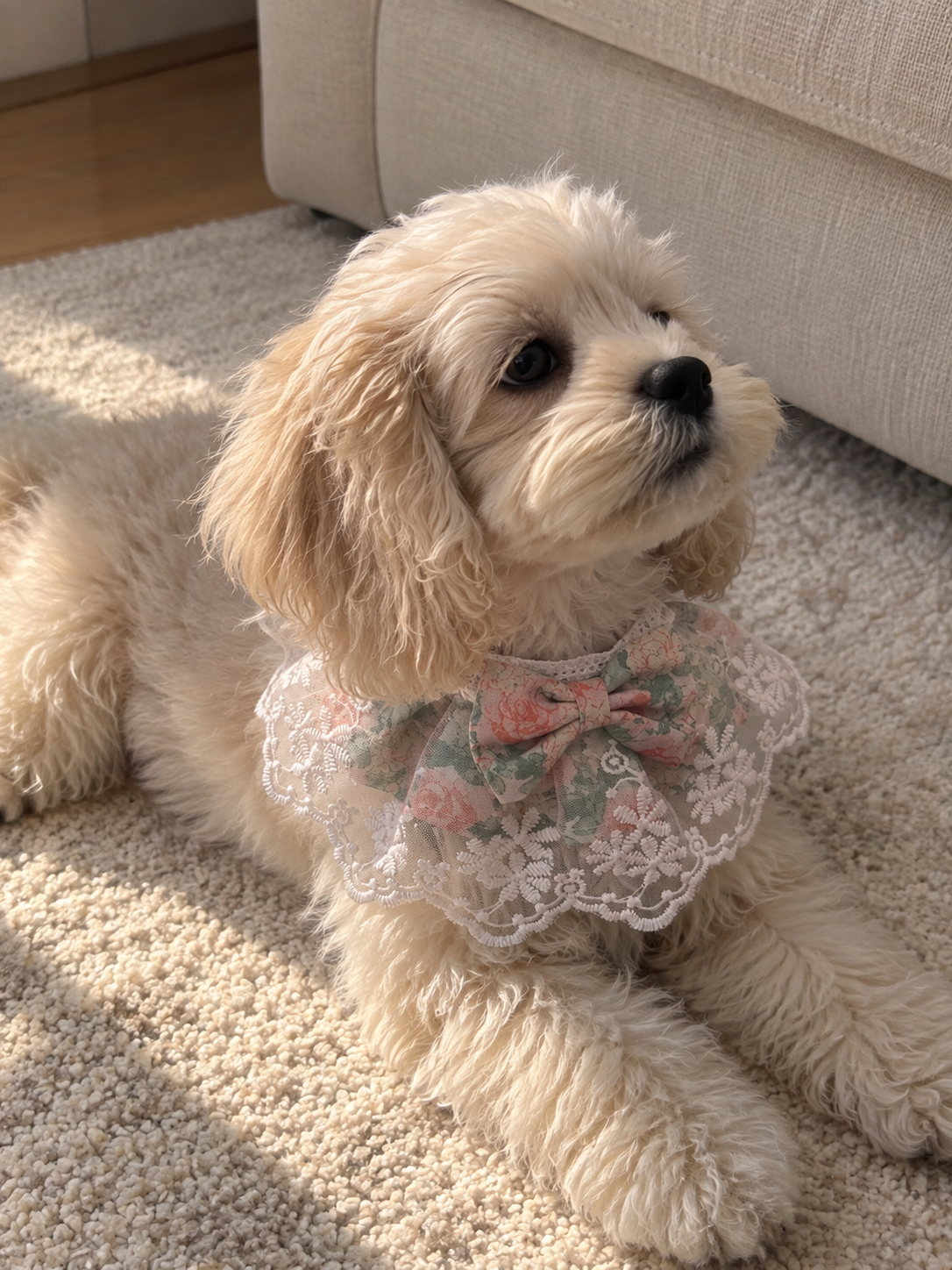 Rosy Meadow Lace Pet Bib 🌹🎀