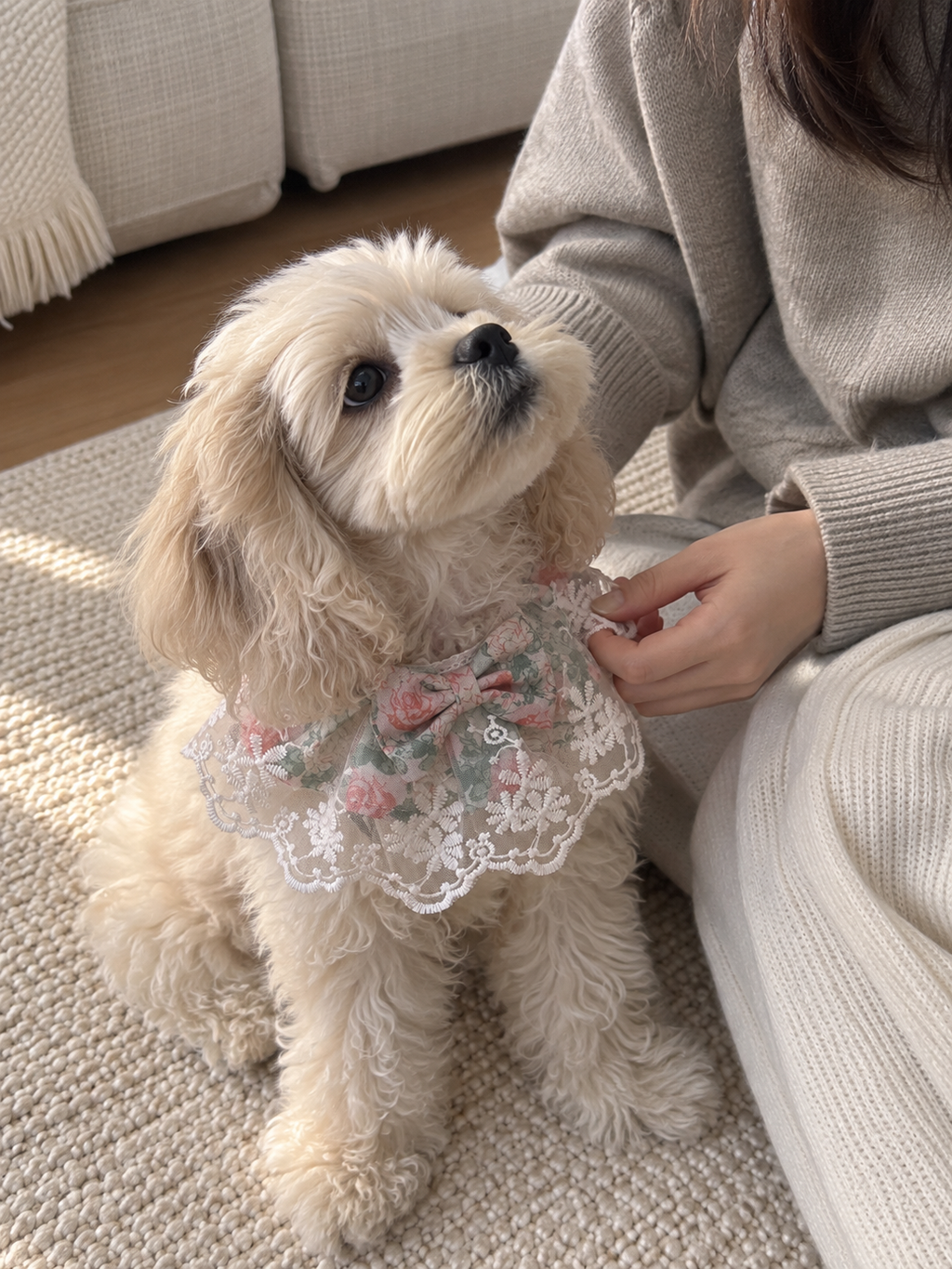 Rosy Meadow Lace Pet Bib 🌹🎀