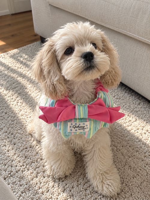 Berry Candy Bow Pet Bib 🎀🍬